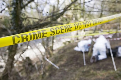 Indian-origin Pregnant Woman Killed in Arrow Attack in UK; Baby Saved by C-Section Fighting For Life