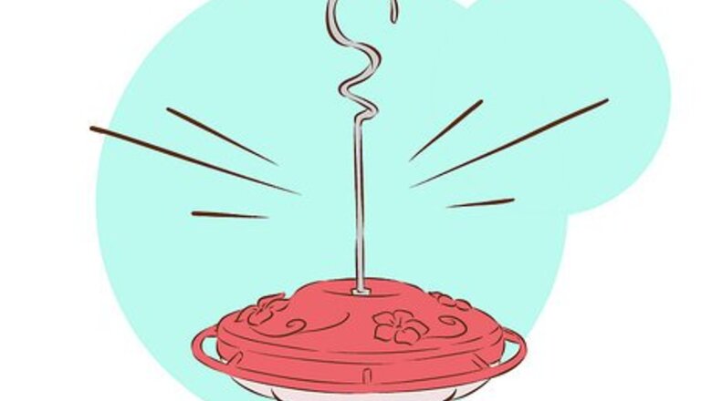 How to Feed Hummingbirds
