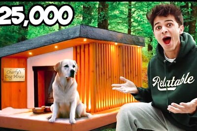 YouTuber Builds Luxurious House Worth Rs 20 Lakh For His Pet Dog On Birthday