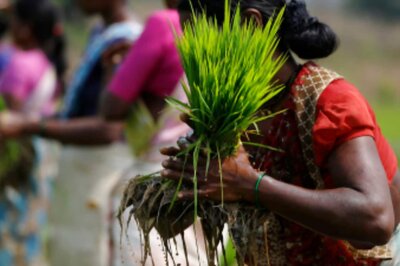 Nudge Spending, Helping Farmers: MNREGS Can Be Rural Economy Booster in Pandemic