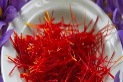 Here’s Why You Should Regularly Consume Saffron