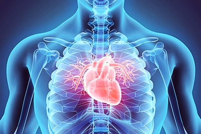Space Alters Human Heart Cells Which Return to Normal on Earth