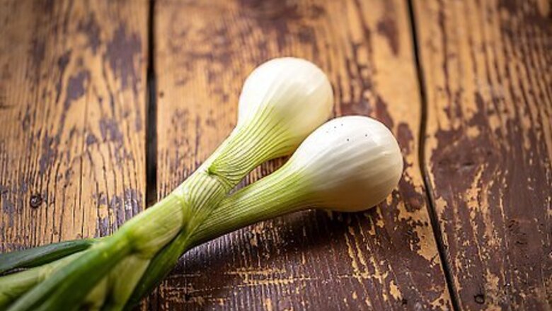 How to Tell the Difference Between Spring Onions, Shallots, and Green Onions