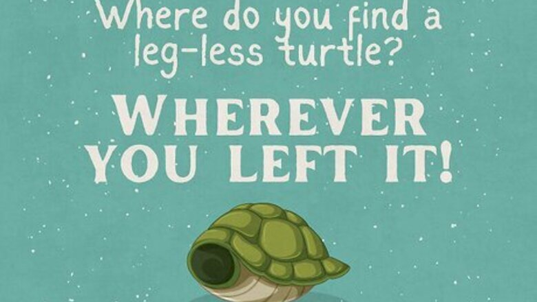 95 Turtle Puns, Jokes & Captions to Tickle Your Shell