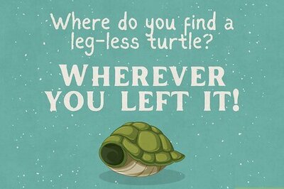 95 Turtle Puns, Jokes & Captions to Tickle Your Shell