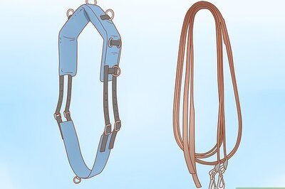 How to Train a Horse