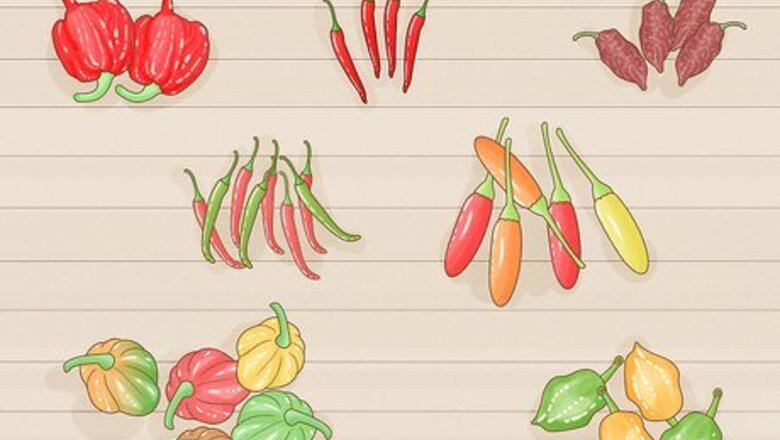How to Grow Hotter Chillies