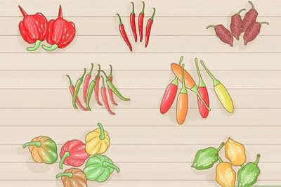 How to Grow Hotter Chillies