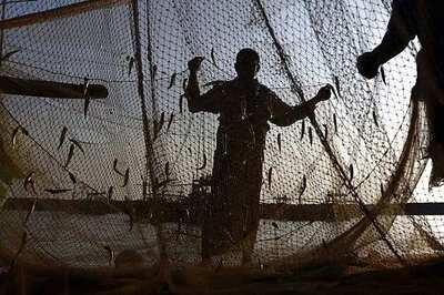 Centre says 24 Indian fishermen currently in detention in Sri Lanka