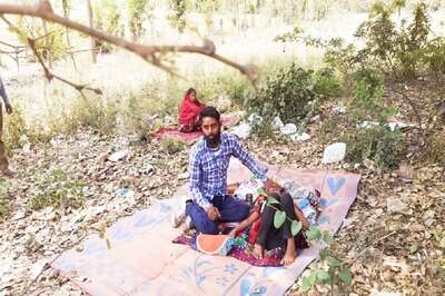 Superstition or Faith? Covid Patients in UP District Make Beeline for Peepal Tree for 'More Oxygen'