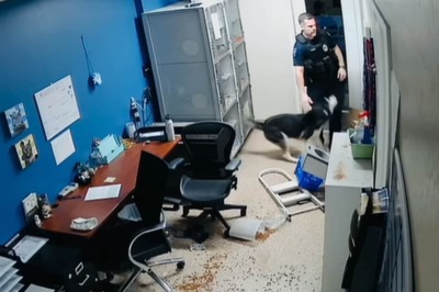 Dog Looking For Food At Animal Rescue Center Triggers Burglar Alarm; This Happens Next