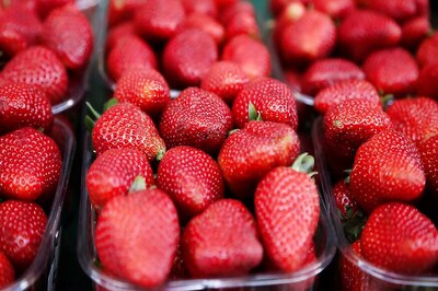 $70,000 Reward Offered as Australia Hunts Culprit Hiding Sewing Needles in Strawberries