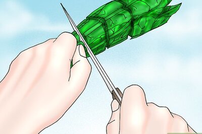 How to Compost in Cold Weather