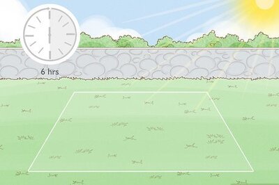 How to Grow Blackcurrants