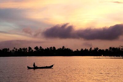 500km from Mumbai, Lonar Lake's Colour Changes to Pink; Experts, Locals Surprised