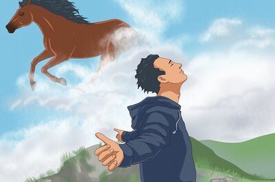 What Do Horses Symbolize?