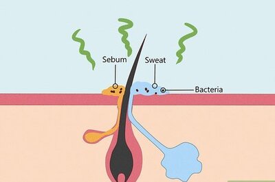 Smelly Septum Piercings: Cause, Prevention, Jewelry Recs & More