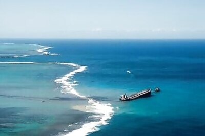 'Heartwrenching' Dolphin Deaths In Mauritius Oil Spill Area Rise To 40