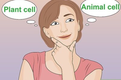How to Make a Model Cell