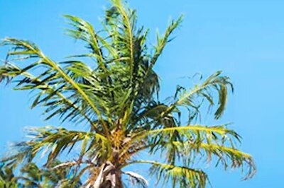 Spanish City To Impose Rs 67,000 Fine For Urinating In The Sea, Social Media Asks ‘Who’s Going To Find Out?’