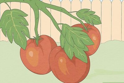 How to Treat Acne Using Tomatoes