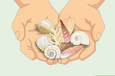 How to Enjoy the Outdoors