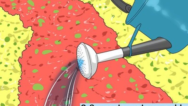 How to Rescue Dying Landscape Plants
