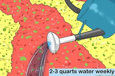 How to Rescue Dying Landscape Plants