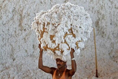 India Rejects US Charge of Subsidising Cotton Beyond WTO Limits