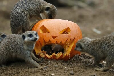 Halloween Makeup Ideas To Try This Year