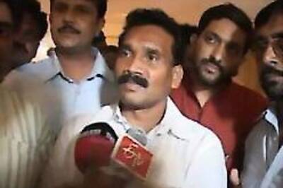 Wanted a bride for Koda, must be kind