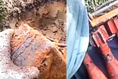 Video Of Man Digging Up World War-era Case With 10 Bombs Inside Viral