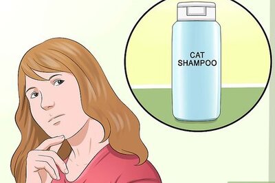 How to Clean Hedgehog Quills