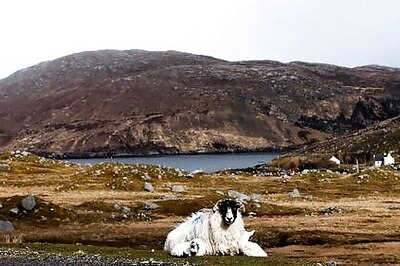 Remote Scottish Areas To Benefit From 12-minute COVID Test Machines