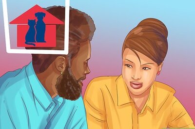 How to Buy Christmas Gifts for a Dog