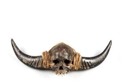 'Highly Emotional Issue': UK Auction House Withdraws Sale Of ‘Naga Human Skull’ After Outrage In India