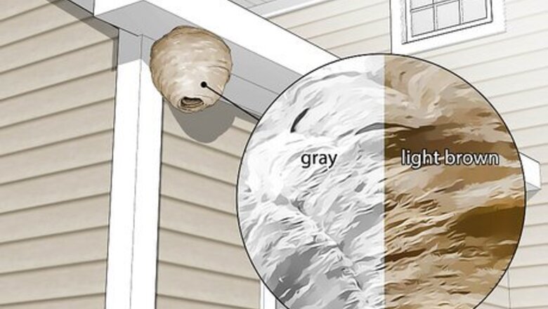 10+ Safe and Easy Steps to Get Rid of Wasp Nests in Your Roof