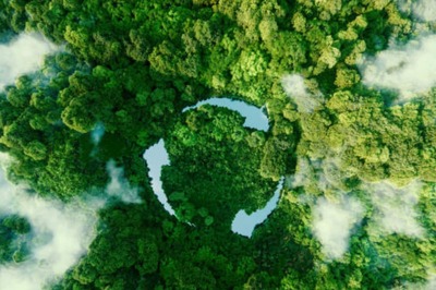 Valentine's Day 2024: Eco-Friendly Gifts To Give To Your Partner