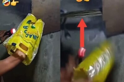 Watch: Man Discovers Massive Python In False Ceiling, Saves Himself Just In Time