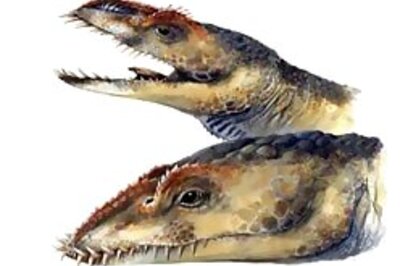 Veg croc guards temple in Kerala