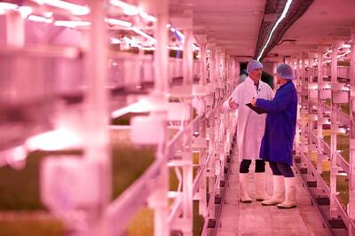 London Bomb Shelter Transforms in to an Underground Farm