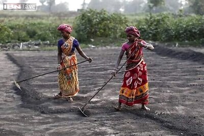 Budget may back off fertiliser subsidy reform