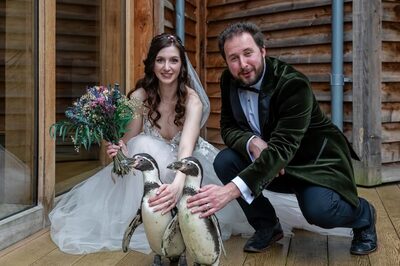 British Couple Surprises Guests With Incredible Penguin Ring-Bearer At Wedding