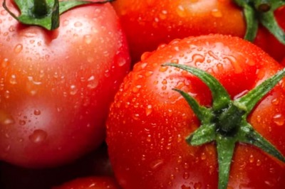 ‘Red’ Flag: 1 in 3 Houses Paid Over Rs 200 per kg for Tomatoes Last Week, Finds Survey