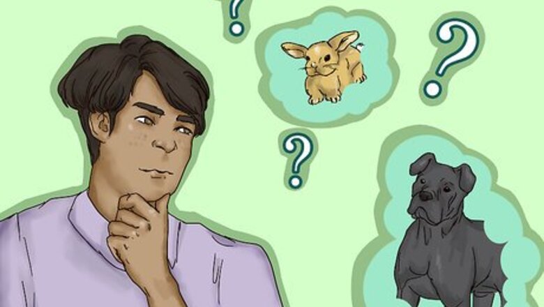 How to Write an Animal Report