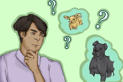 How to Write an Animal Report