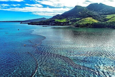 Mauritius Oil Spill: Japanese Ship Operator to Pay $9.4 Million to Help Marine Causes