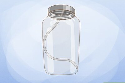 How to Grow Copepods