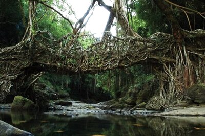 On Cloud Nine: Meghalaya at 50!