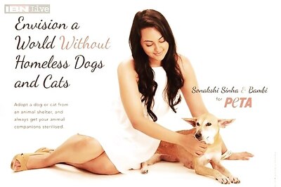 Sonakshi Sinha join forces with PETA, appeals fans to adopt cats, dogs